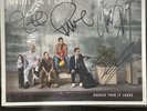 SIMPLE PLAN HARDER THAN IT LOOKS SIGNED YELLOW TRANSLUCENT VINYL AUTOGRAPHED 400