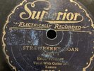 Superior 78 RPM Enos Wanner - Strawberry Roan 2722 V+ prewar country