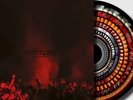 THE REYTONS | WHAT’S ROCK AND ROLL | Limited Zoetrope Vinyl | preorder