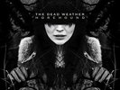The Dead Weather - Horehound - Used Vinyl Record - X132A