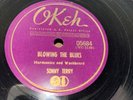 EX+ SONNY TERRY Blowing The Blues OKEH 05684 Harmonica And Washboard