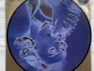 Madonna - Erotica - Vinyl Picture Disc Reissue