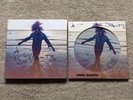 Lenny Kravitz SIGNED Super Deluxe Edition And Picture Disc Raise Vibrations  LP