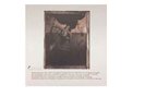 Pixies ‎– Surfer Rosa Lp Vinile