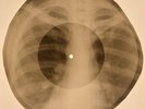 Who - My Generation X-RAY BONES RECORDS USSR 272