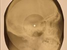 Doors - Riders on the Storm X-RAY SKULL BONES RECORDS USSR 249