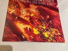 Paul McCartney “Flowers In The Dirt” LP 91653, Lyric Insert ,Vinyl EX Promo