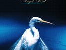 Faith No More: Angel Dust - 2x LP 180g Vinyl, Deluxe Edition, Remastered