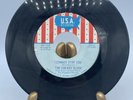 Garage Rock The Cherry Slush  Don't Walk Away I Cannot Stop You 45 Record