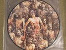 CANNIBAL CORPSE the Bleeding picture disc vinyl LP six feet under Chris Barnes