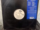 Vinyl LP - Keith Murray – The Most Beautifullest Thing In This World (1994)