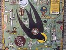 Steve Earle & The Dukes – Jerry Jeff NW5622 US NEW SIGNED LP BLUE SWIRL 500 Copi