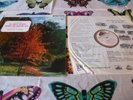 VIVALDI THE FOUR SEASONS CONCERTOS 1-4 VIRTUOSI DI ROMA 1960 STEREO VINYL LP