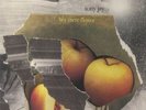 TONY JAY - Hey There Flower - Vinyl (smoked vinyl LP limited to 200 copies)
