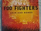 Foo Fighters Skin & Bones Vinyl