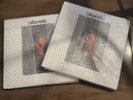 Frank Ocean Blonde 2LP Vinyl 2022 OFFICIAL REPRESS IN HAND SOLD OUT