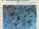 MERCURY REV - Hello Blackbird - Vinyl (limited blue marbled vinyl LP)