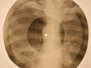 Jackson 5 - I Want You Back  X-RAY BONES RECORDS USSR 277