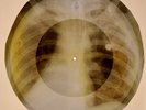 Beatles - Word  X-RAY BONES RECORDS USSR 299