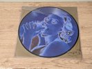 Madonna – Erotica LP picture disc vinyl record 12