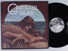 GRATEFUL DEAD Wake Of The Flood GRATEFUL DEAD LP VG+ matte cover p