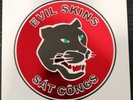 EVIL SKINS ‎- Docteur Skinhead/Sát côngs. 7'' ltd 175 copies Green Rare Oi  Punk