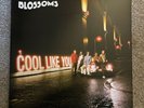 Cool Like You by Blossoms (vinyl, 2018)