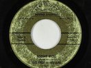 Surf Inst. 45 - Free Wheelers - Night Ride - Perfection - mp3