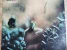Steely Dan Katy Lied 1975 MCA Vinyl LP Album MCA.37043 VGC