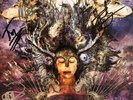 Protest The Hero - Fortress (LP, Green, Canada, UOPJ-V001, Signed / Autographed)