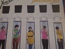 PUNK - X-RAY SPEX LP Germ Free Adolescents  1978  Very Good +++