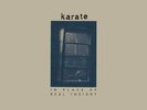 KARATE: IN PLACE OF REAL INSIGHT [LP vinyl]