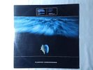 KAMAYA PAINTERS Endless wave 12