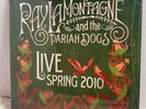 Ray LaMontagne and the Pariah Dogs Live Spring 2010 RSD LP Bob Dylan Poster 10