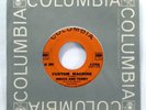 BRUCE And TERRY 45 Custom Machine COLUMBIA 1964 Surf MINT- Beach Boys Mc 1262