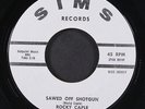 ROCKY CAPLE: sawed off shotgun / wrong guitar SIMS 7