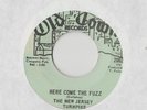 THE NEW JERSEY TURNPIKE Here Come the Fuzz 45 RECORD RARE 60s GARAGE ROCK PSYCH