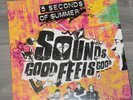 5 Seconds Of Summer Sounds Good Feels Good Hi or Hey Records 2015 Vinyl