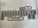 The Prodigy Experience XL Recordings XLLP 110 Sep 1992 Vinyl LP Records