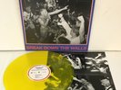 YOUTH OF TODAY break down the walls Lp YELLOW COLORED Vinyl Record with lyrics