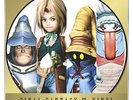 FINAL FANTASY IX Picture Vinyl 2 LP Record Analog Square Enix FF9 Official
