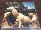 Our Love to Admire-Interpol (Vinyl 2LP Plus Cd And Gatefold)