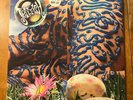 Jellyfish: Bellybutton--Original 3-Fold Promo Vinyl--Charisma--1990