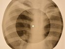 Mamas & Papas - California Dreamin X-RAY BONES RECORDS USSR 282
