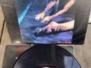 Siouxsie and the Banshees - 