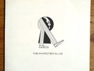 THE WHITEST BOY ALIVE -  burning / 24K  - vinyl 7 