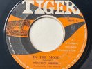 WINSTON WRIGHT / THE NOW GENERATION - In The Mood / REGGAE JAMAICA Tiger