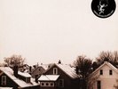 Planning For Burial - Below The House Bone / Olive Green / (2017 - US - Reissue)