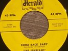 The SUNBEAMS - Come Back Baby #H-451 Herald Records *45 RPM* 7