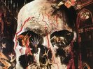 Slayer South Of Heaven Vinyl - Read Description
